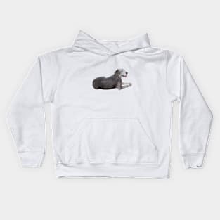 Great Dane Kids Hoodie